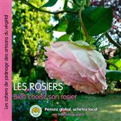 Bien choisir son rosier